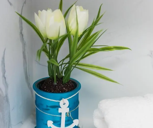 Porta Aurea Di Spalato, Luxury Split